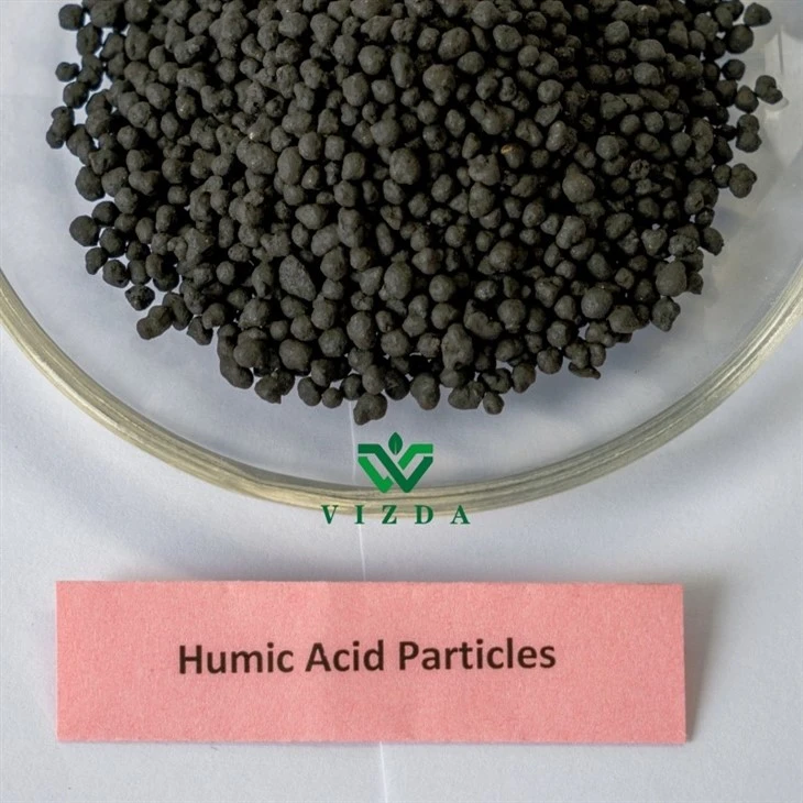Plant Nutrient Absorption Humic Acid