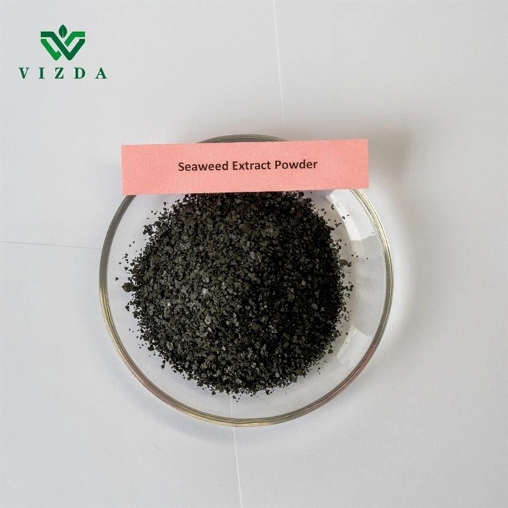 Seaweed Extract Black Powder