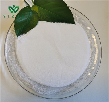 อิโนซิทอล