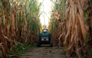 Upside Robotics กำหนดเป้าหมายขยะมูลฝอยในข้าวโพดด้วยหุ่นยนต์ภาคสนามอัตโนมัติ